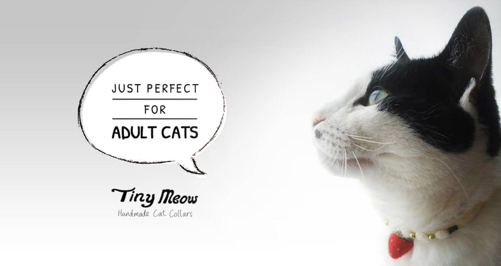 Tiny Meow branding