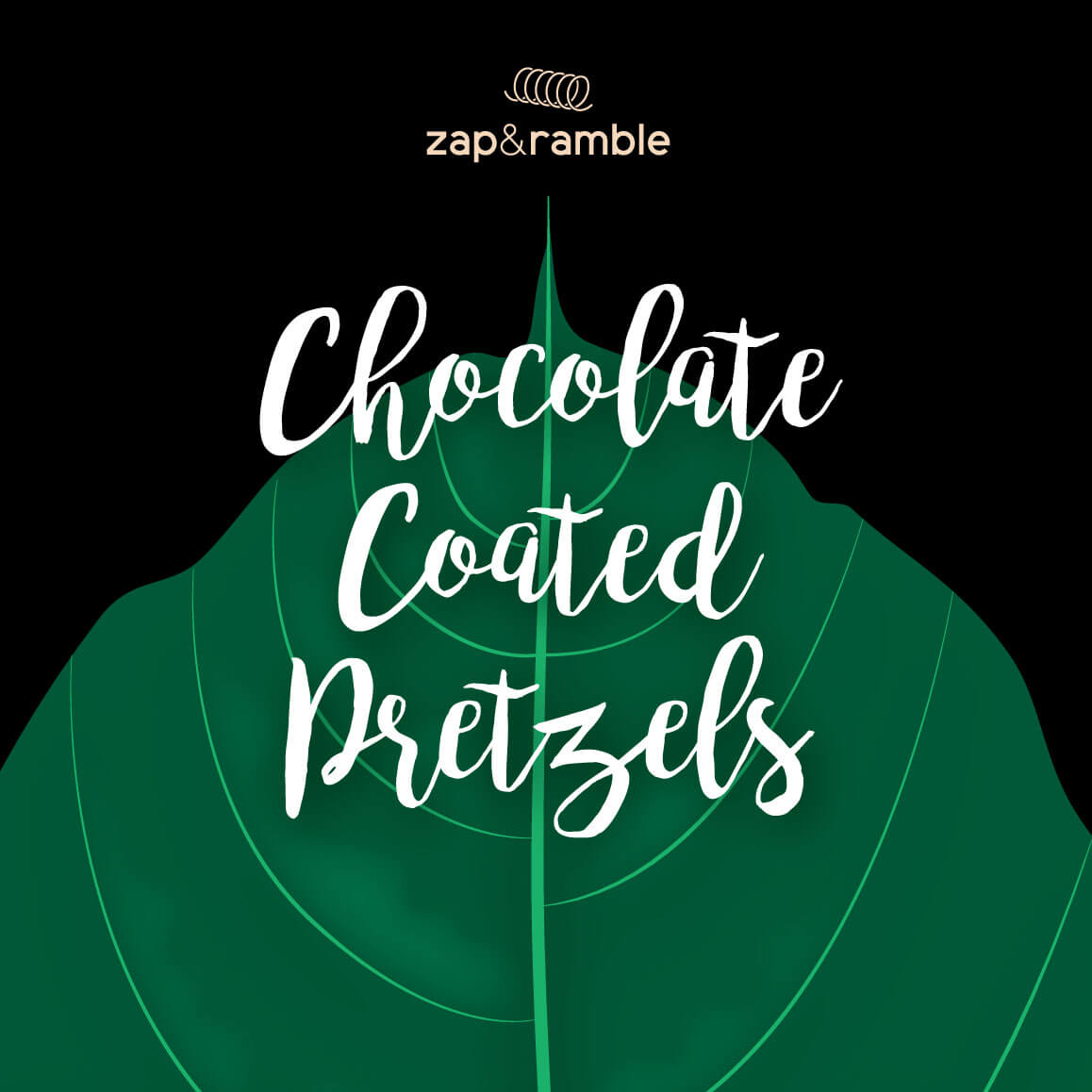 chocolate coated pretzels packaging design front